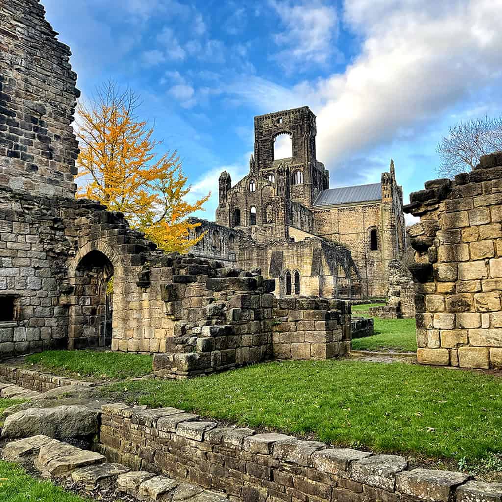 The ruins of Kirkstall Abbey in the Autumn, with a gingko tree